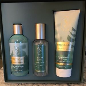 🆕️ Bath & Body Works Stress Relief 3 Piece Set / Eucalyptus + Spearmint